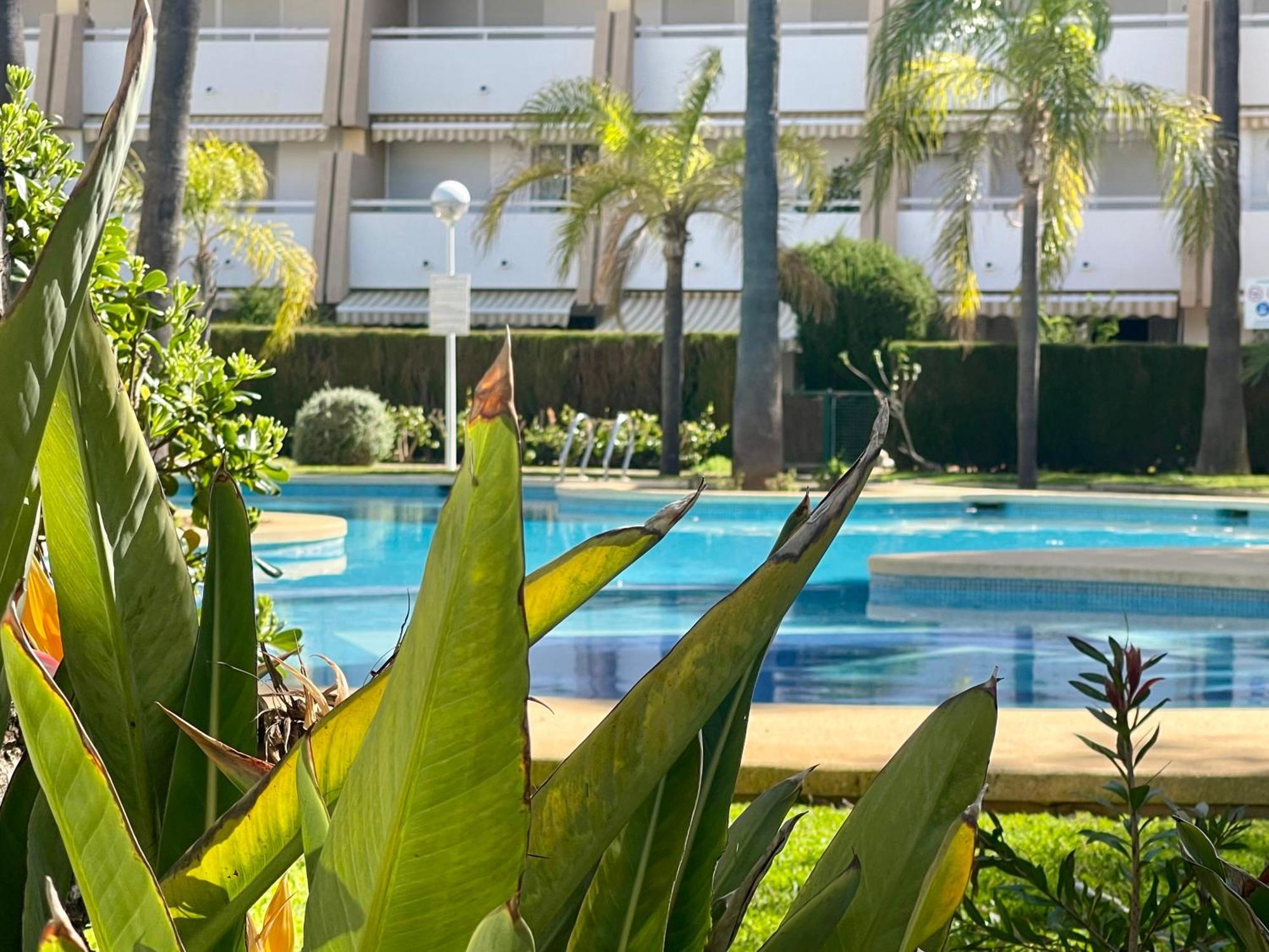 The Beach House Playa Del Arenal Javea - Pool And Garden Steps From The Beach Platja de Larenal Exterior foto